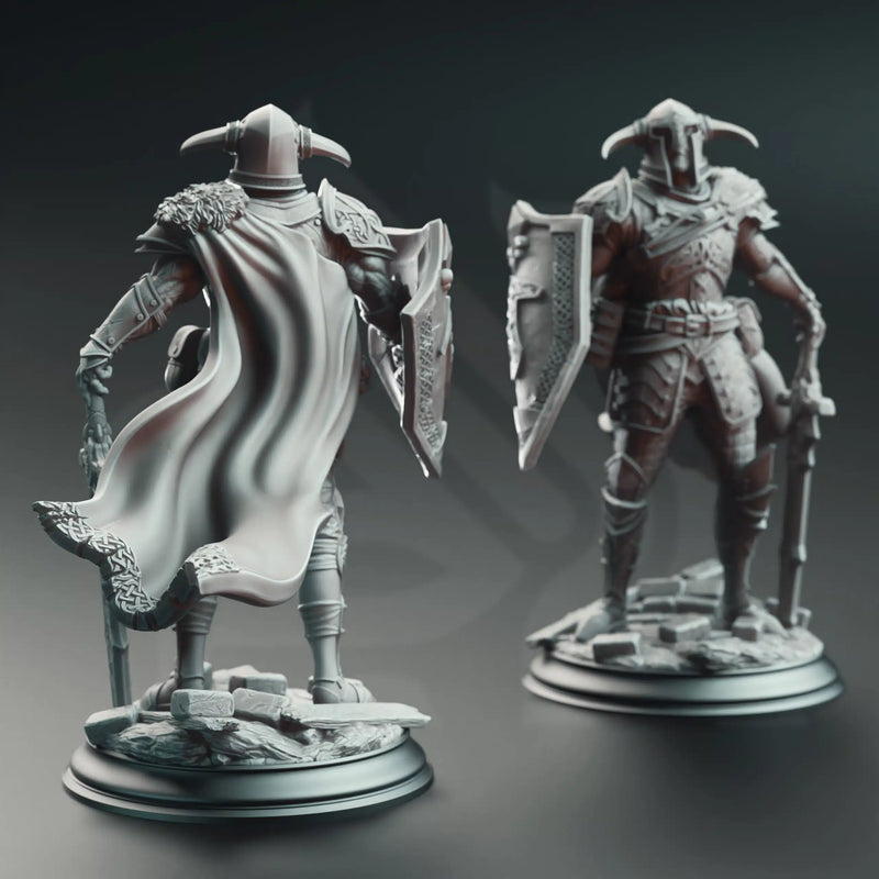 Lizarin – Champion of Renmaeth by DM Stash - image 2