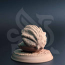 Shelldon – Mimic Clam by DM Stash - image 3