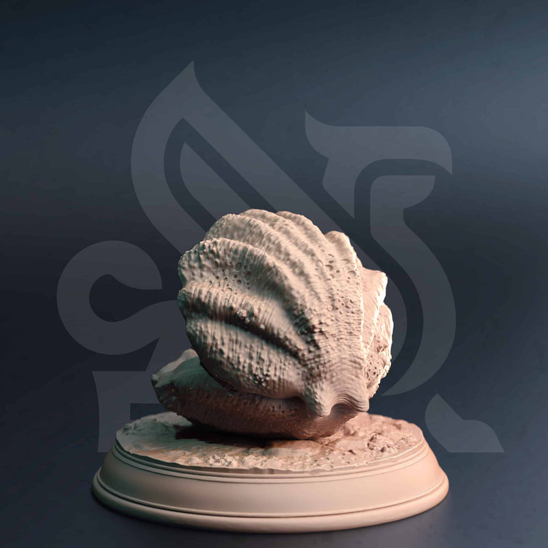 Shelldon – Mimic Clam by DM Stash - image 3