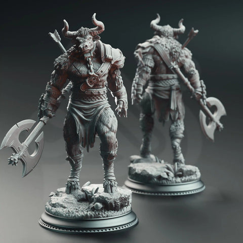 Minotaurs of the Labyrinth’s Depths by DM Stash - image 1
