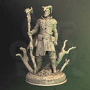Noranor – Gryphic Druid by DM Stash - image 1