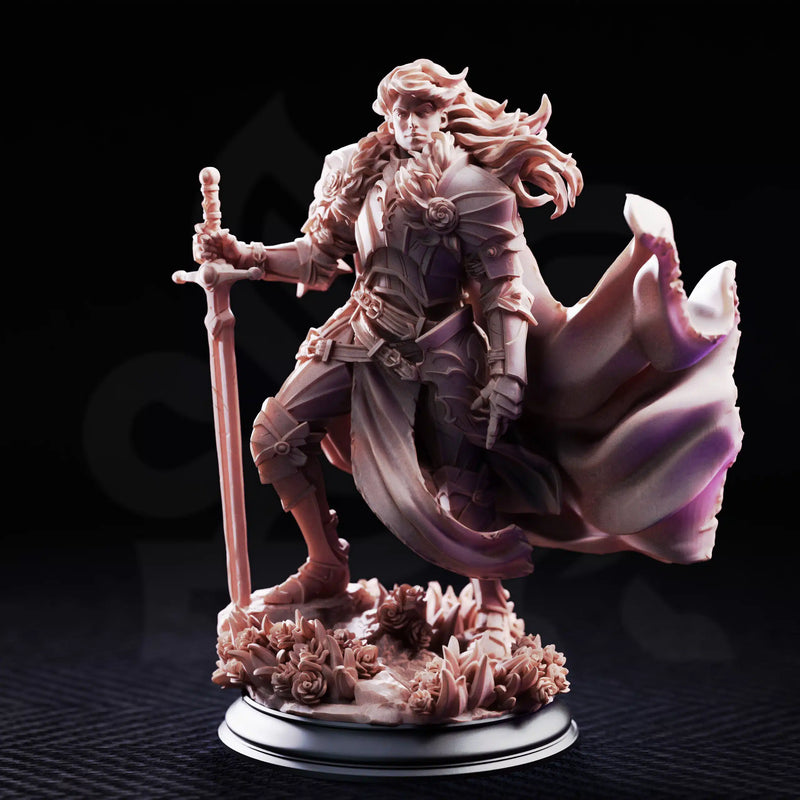 Prince Charming – Noble Knight by DM Stash - image 1