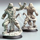 Raiko – Tiger Monk by DM Stash - image 1