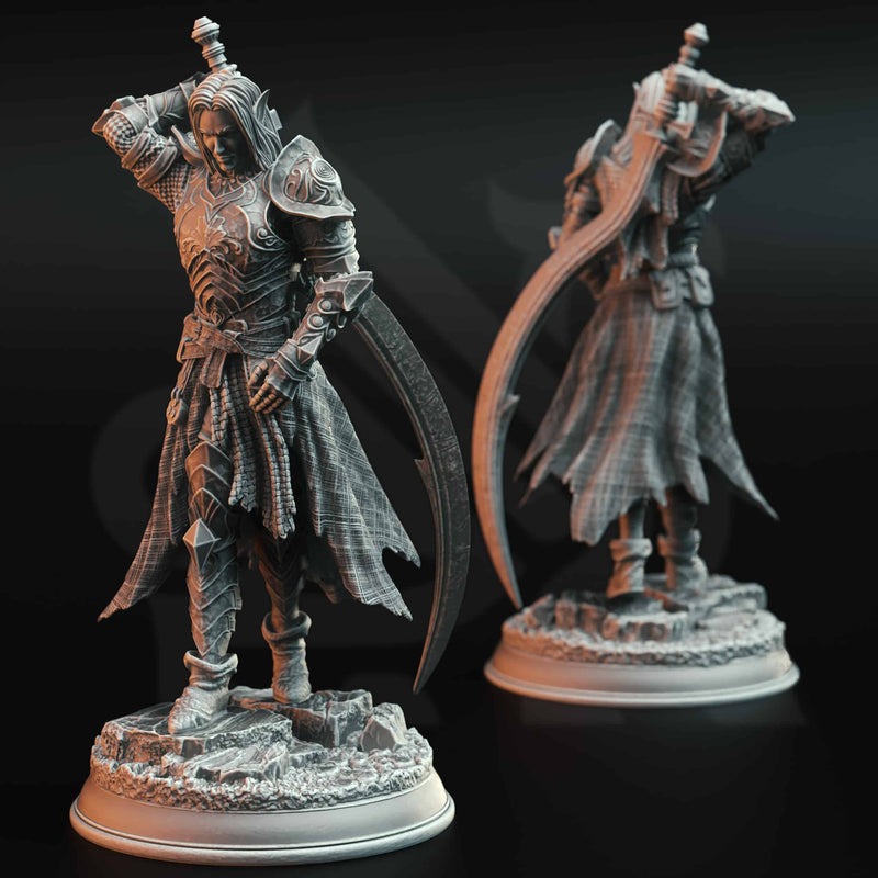 Relethyr Valin – Paladin of the Beacon by DM Stash - image 1