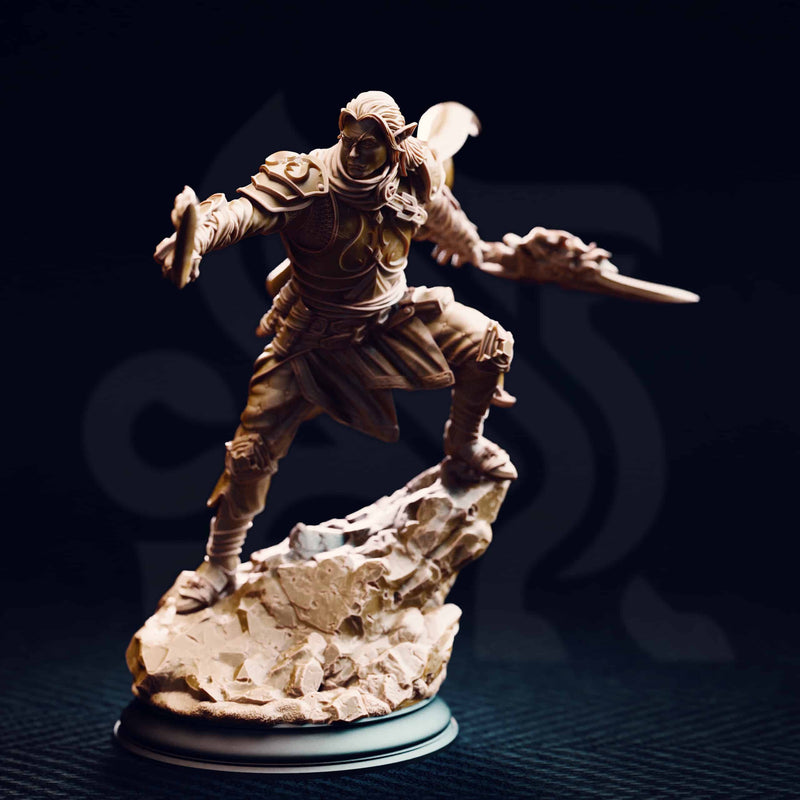 Reyvith the Valiant – Valadhar Veteran by DM Stash - image 1