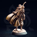 Sactarin – Sun Elf Tracker by DM Stash - image 2
