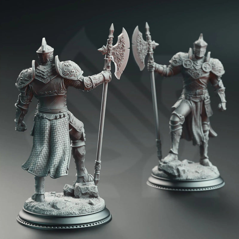 Ser Claudius – Knight of the Tower by DM Stash - image 2
