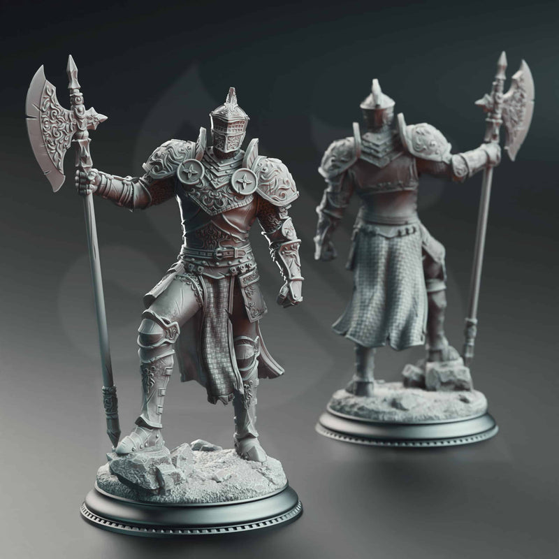 Ser Claudius – Knight of the Tower by DM Stash - image 1
