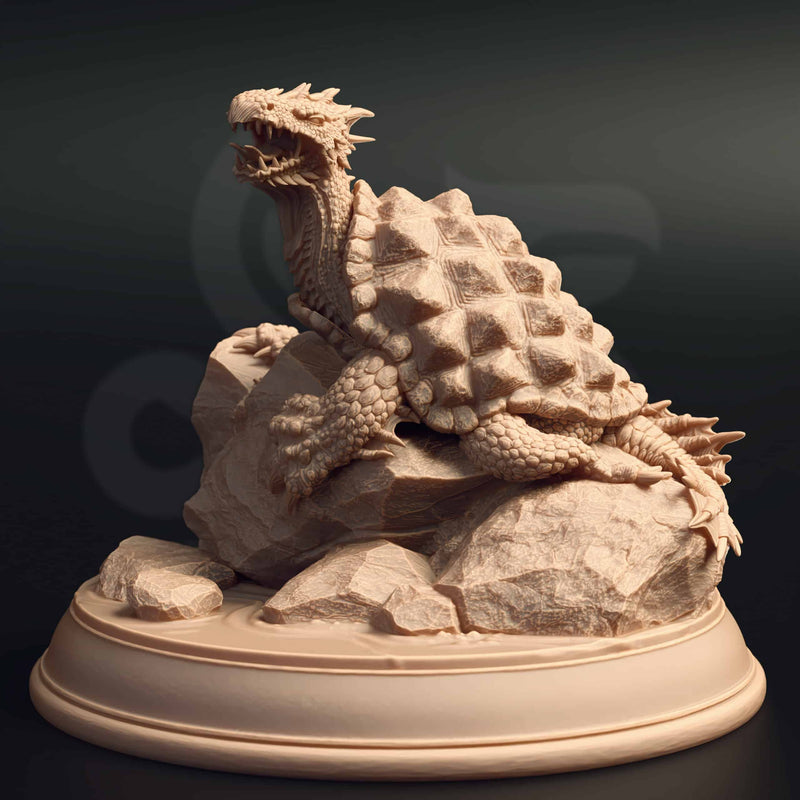 Testidi – Dragon Turtle Hatchling by DM Stash - image 1