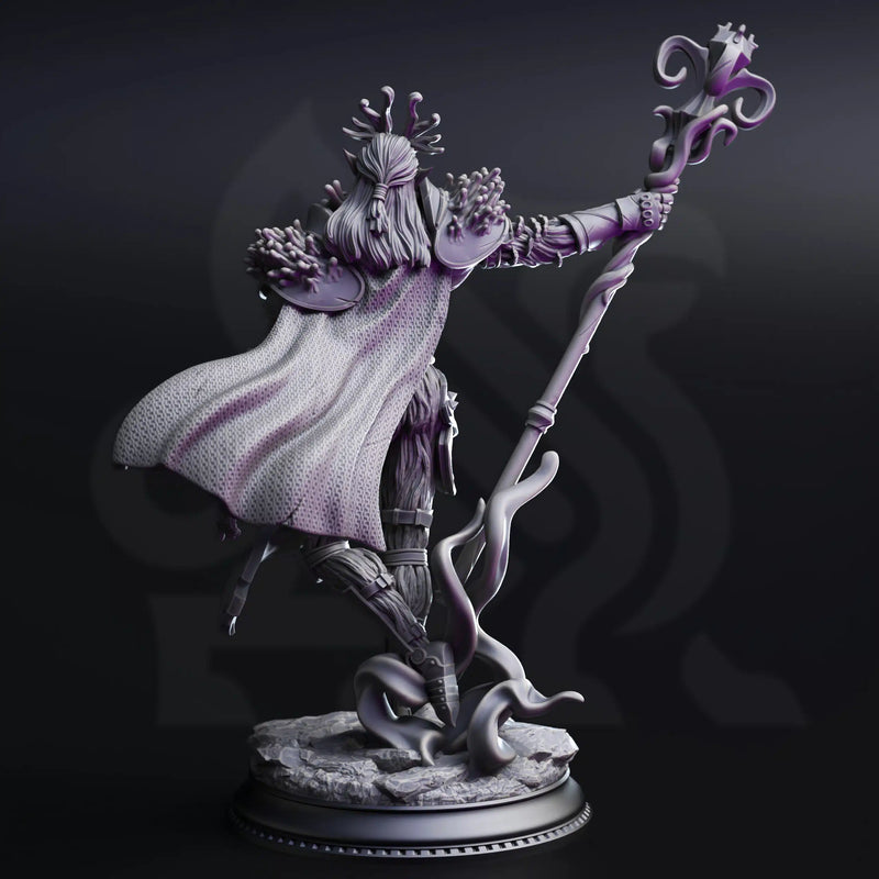 The Blessed – Servants of Vaezirak by DM Stash - image 2