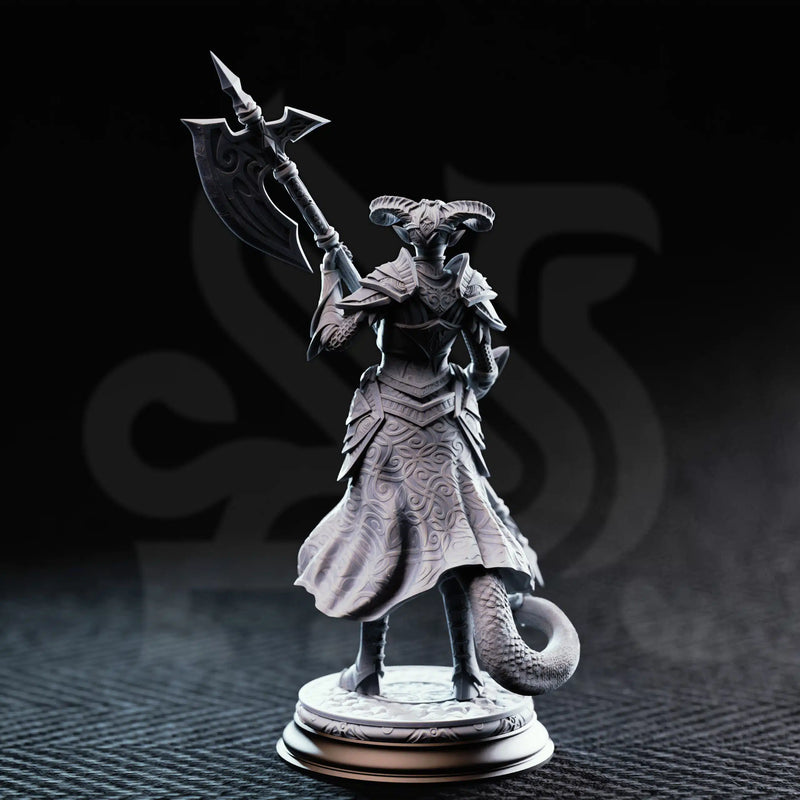 The Matriarch – Tiefling Noblewoman by DM Stash - image 2