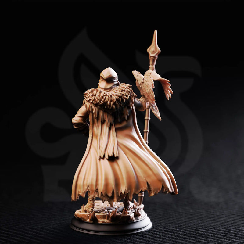 The One Eyed Wanderer by DM Stash - image 2