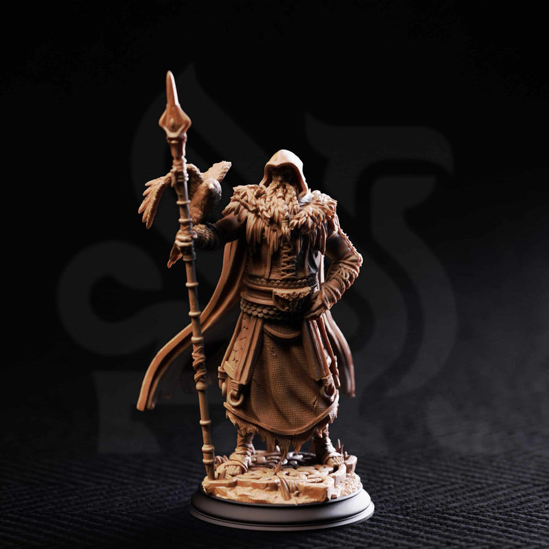 The One Eyed Wanderer by DM Stash - image 1