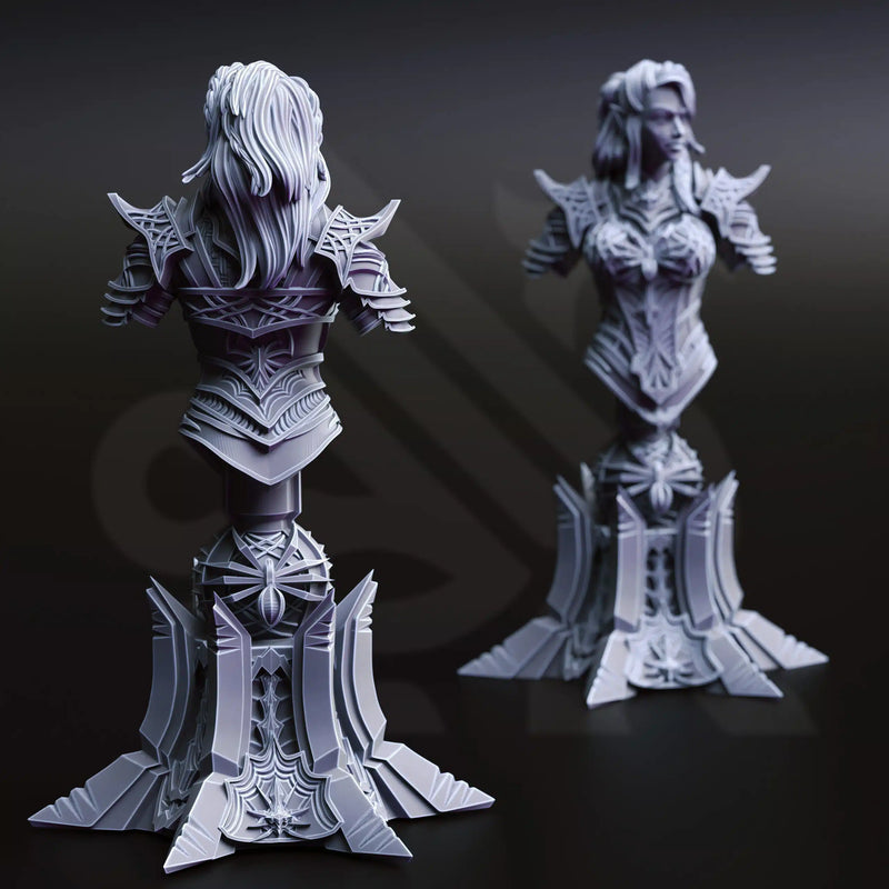 Vakara N’thara – Drow Assassin (Bust) by DM Stash - image 2