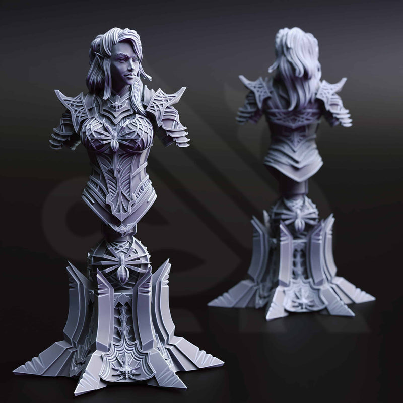 Vakara N’thara – Drow Assassin (Bust) by DM Stash - image 1