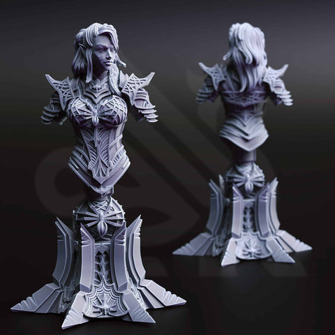 Vakara N’thara – Drow Assassin (Bust) by DM Stash - image 1