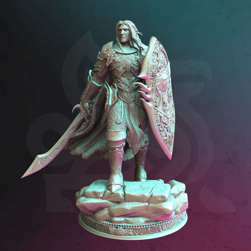Paladin of Erdryidion – Yinsylim by DM Stash - image 1
