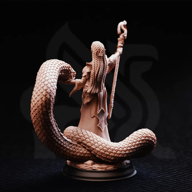 Zarya – Sun Elf Snake Sorceress by DM Stash - image 2