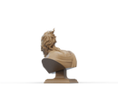 Hades Resin Bust - Design 1 - view 3