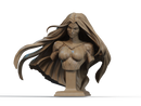 Medusa Resin Bust - Design 1 - view 1