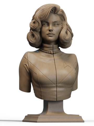 Starfleet Officer Resin Bust - view 1