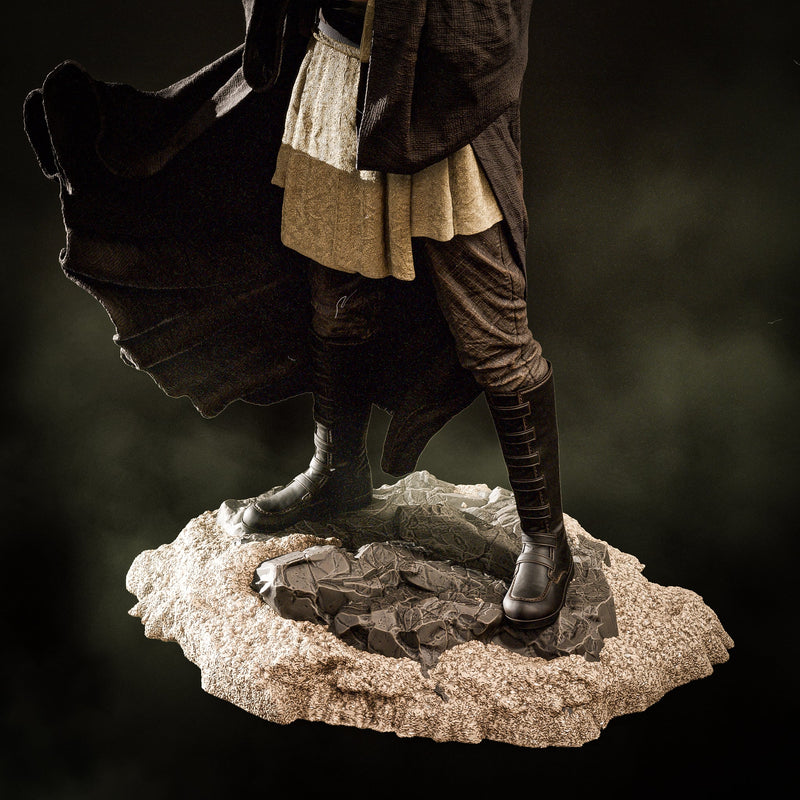 Qui Gon Jinn Resin Statue - view 4