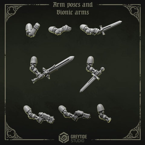 Eternal Pilgrims Arm Poses And Bionic Arms
