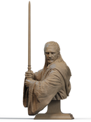 Qui-Gon Jinn Resin Bust - view 1