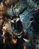 Predator King Resin Statue - view 2