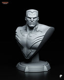 Colossus Resin Statue & Bust - Bust view 1