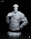 Puri-Puri Resin Statue & Bust - Bust view 1
