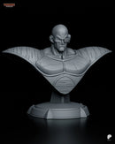 Nappa Resin Statue & Bust - Bust view 1