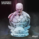 Captain America + Black Panther Busts resin bust kit view 1