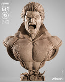 Banshee Portrait Bust resin bust kit view 1