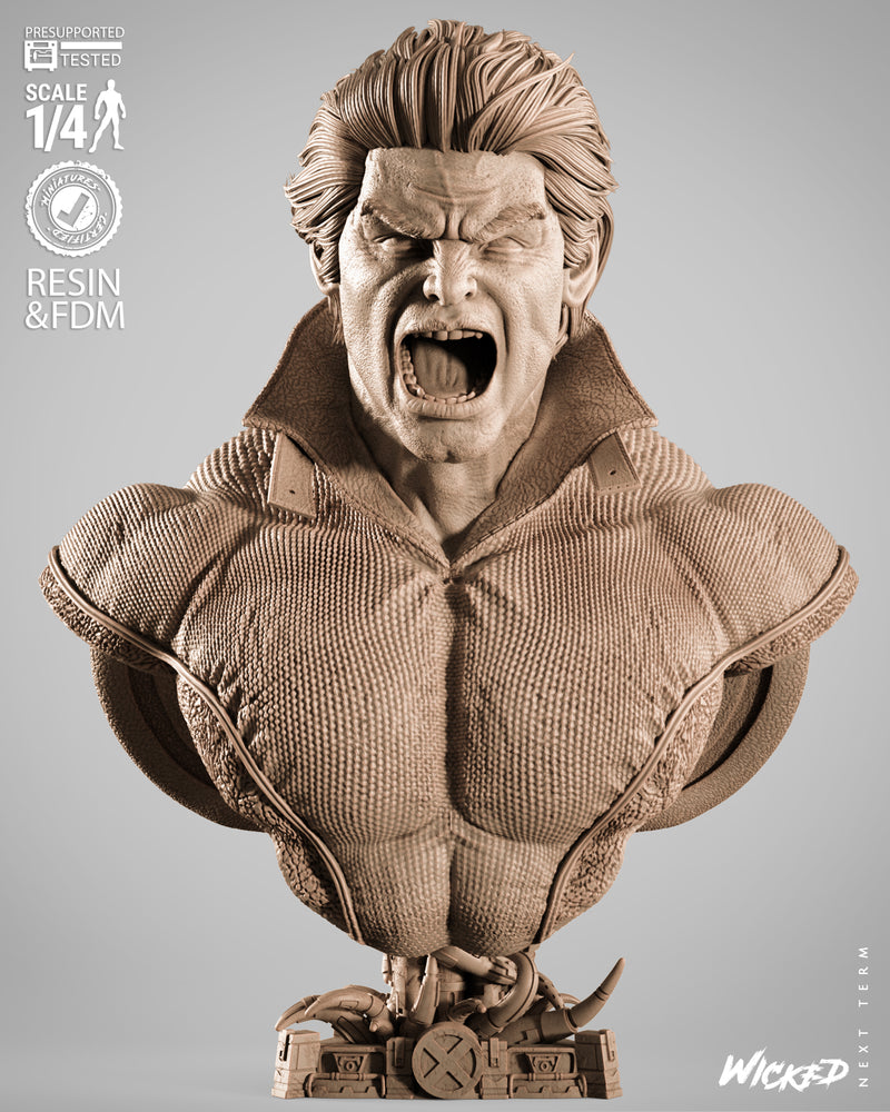 Banshee Portrait Bust resin bust kit view 1