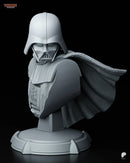 Darth Vader Resin Statue & Bust - Bust view 1