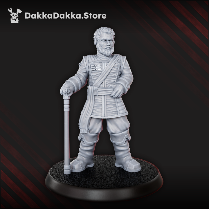 Airforce Marshal - DakkaDakka Resin Miniature - image 1