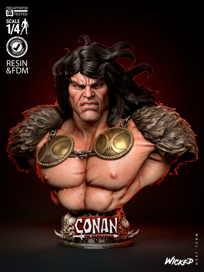 Conan The Barbarian Portrait Bust resin bust kit view 1