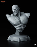 Sagat Resin Statue & Bust - Bust view 1