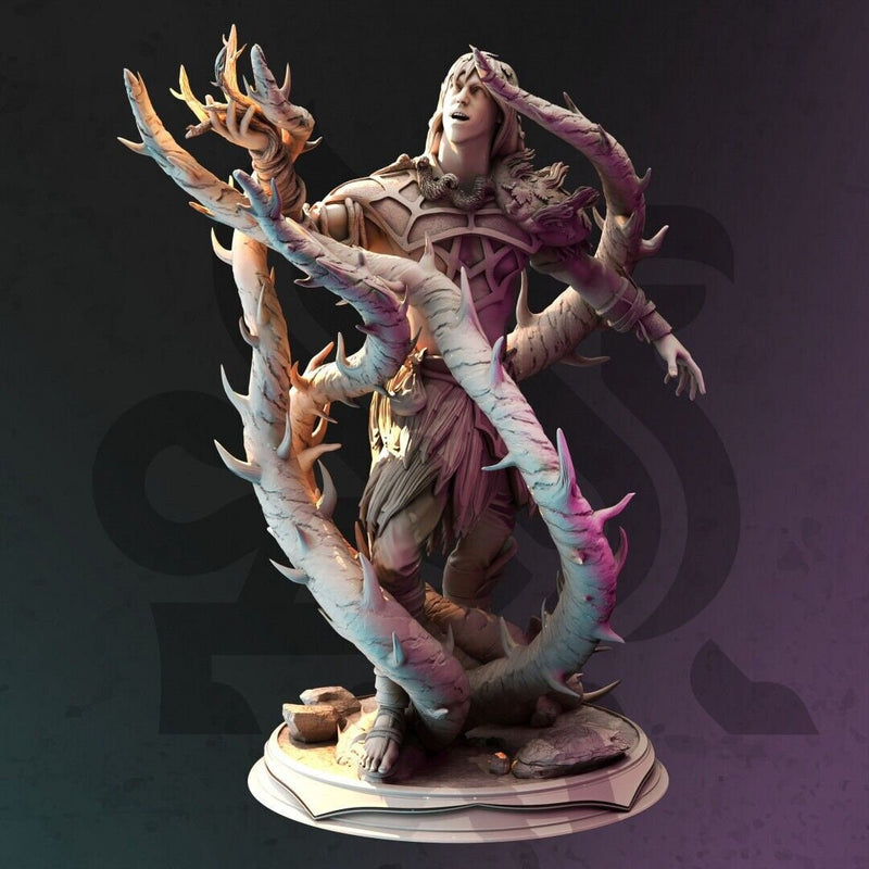 Drow Swamp Spider Druid - Toraxid | DM Stash | DnD | Fantasy | Miniature