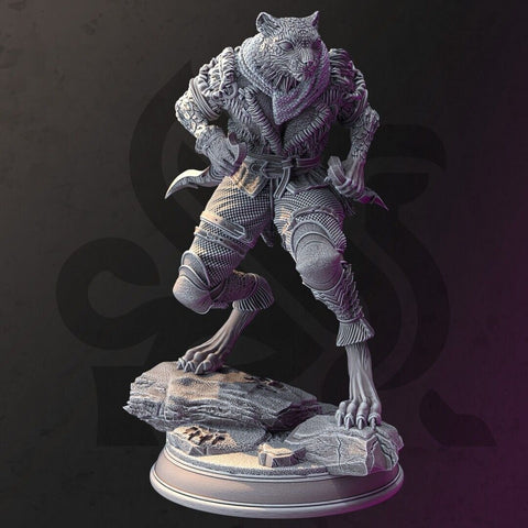 Tabaxi Snow Leopard Rogue - Curatio Ounce | DM Stash | DnD | Fantasy | Miniature