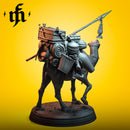 Pack Camel | Midasa Forge | DnD | Fantasy | Miniature