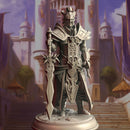 High Elven Warrior King - Valius Hanar | DM Stash | DnD | Fantasy | Miniature