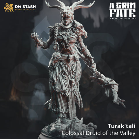 Goliath Druid Elder - Turak'tali | DM Stash | DnD | Fantasy | Miniature