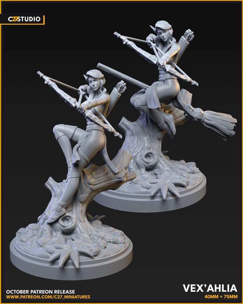 Vex'ahlia (Vox Machina) 40mm on 35mm Base | Crisis Protocol Proxy | C27