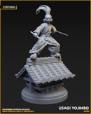 Usagi Yojimbo (40mm on 35mm Base) | Crisis Protocol Proxy | C27