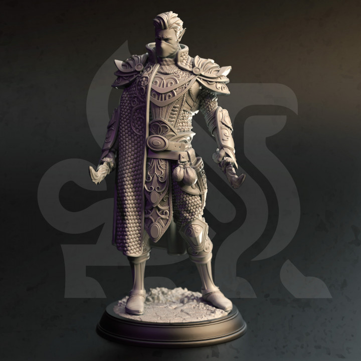 High Elf Arcane Trickster - Erestian | DM Stash | DnD | Fantasy Miniature