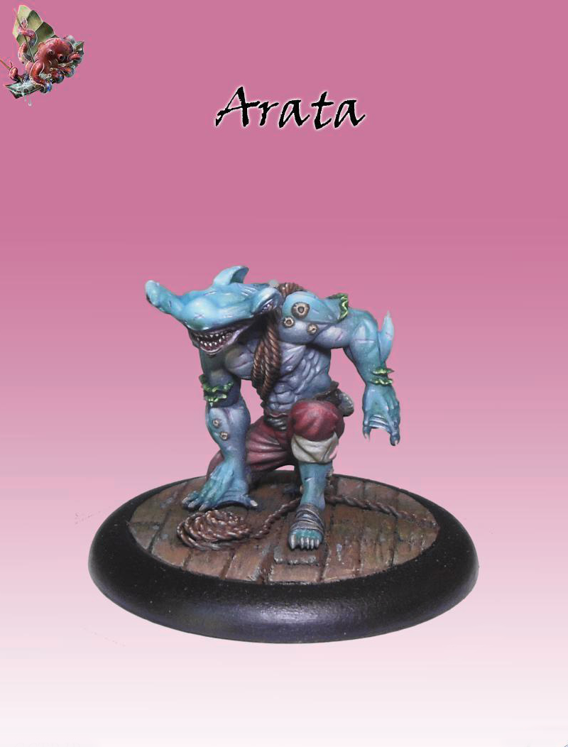 Bushido: Jung Pirates - Arata Samemiman
