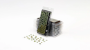 Gamers Grass Laser Plants Plantain Lily