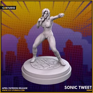 Black Canary 40mm Scale Miniature | Crisis Protocol Proxy | C27
